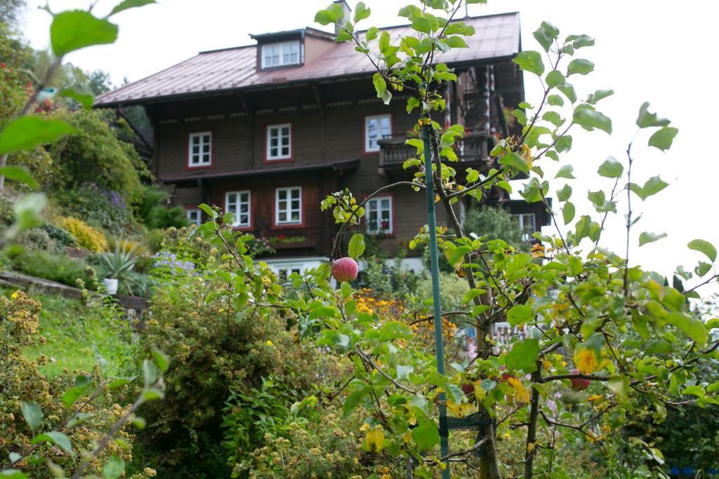 Landhaus Alpina Casa de hóspedes Mittersill Exterior foto